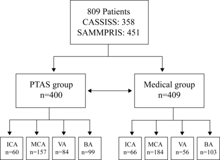 Stenting for symptomatic intracranial arterial stenosis with